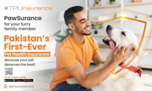 PawSurance: The Ultimate Protection for your Fur Babies